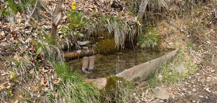 bayons-ch-fer-combe_37.jpg - Abrevoir en bordure de piste