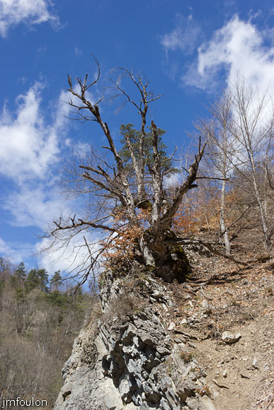 bayons-ch-fer-combe_39.jpg - Nous avons maintenant rejoint la piste de la Combe qui va nous ramener à notre point de départ à environ 2 km plein Est, en longeant le Sasse