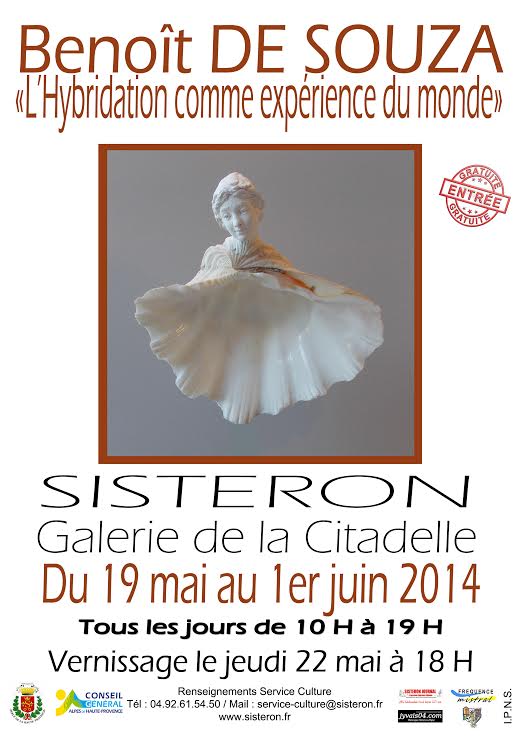 ds-000-2.jpg - Benoît de Souza - Vernissage de l'exposition  "L'Hybridation Comme Expèrience du Monde"