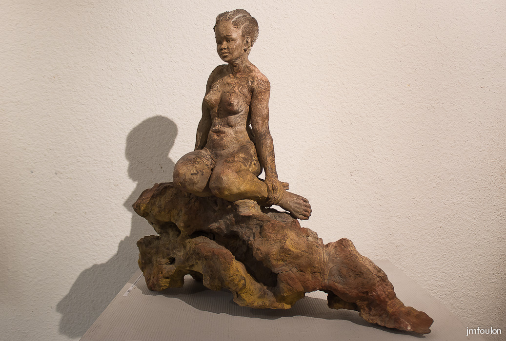 ds-020-2.jpg - Benoît de Souza - Vernissage de l'exposition  "L'Hybridation Comme Expèrience du Monde"