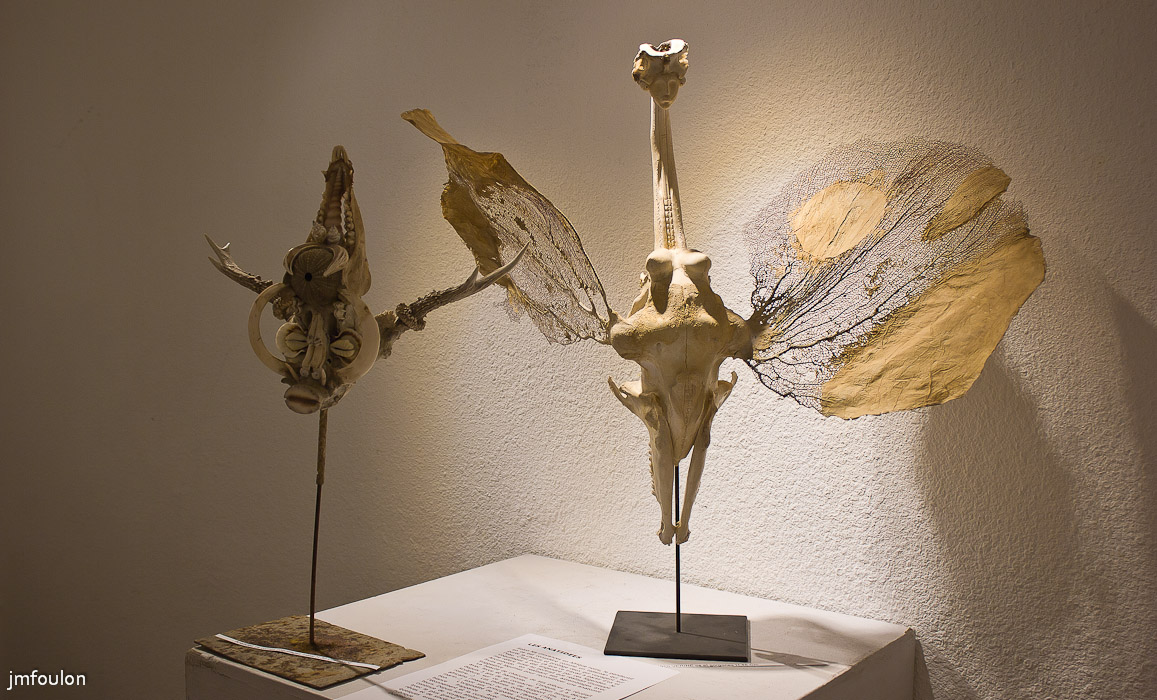 ds-021-2.jpg - Benoît de Souza - Vernissage de l'exposition  "L'Hybridation Comme Expèrience du Monde"