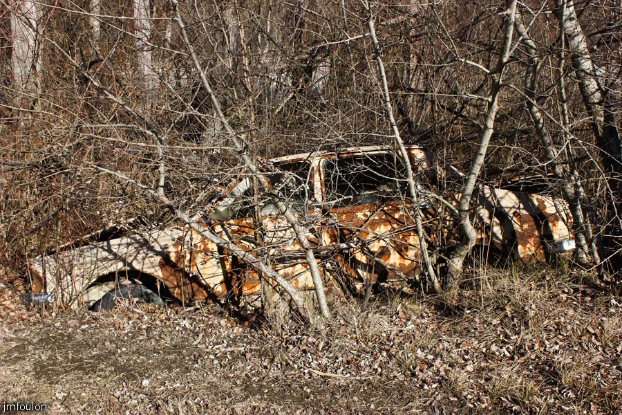 buech-12web.jpg - Carcasse de voiture (R 12) sur la rive droite du Buech au niveau du verger. No comment !