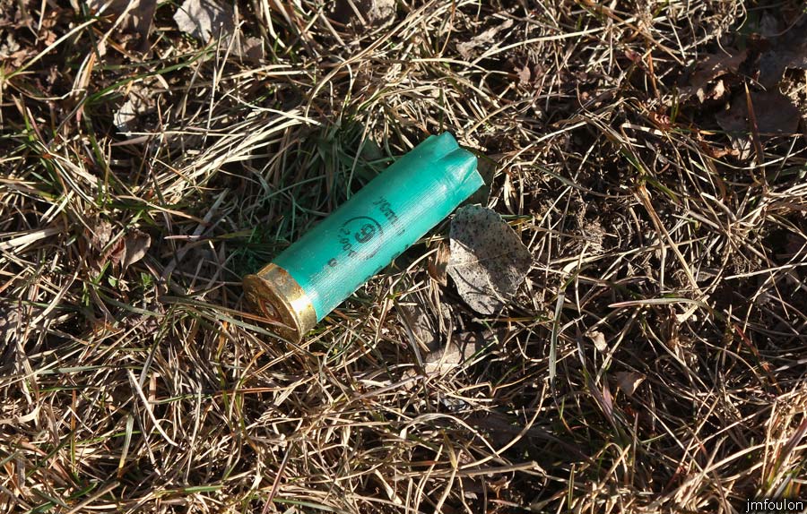 buech-14web.jpg - Douille de cartouche de 9 au sol  sur la rive droite du Buech. Le chasseur qui prétends aimer la nature ne ramasse pas ces déchets. Encore un paradoxe !