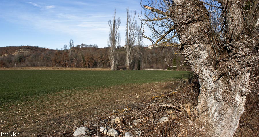 buech-38web.jpg - Rive droite du Buech au niveau de Font Michelle
