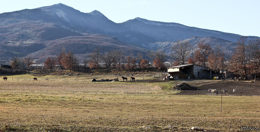 buech-39web.jpg - Chevaux dans leur pré. Au loin à droite la montagne de St Cyr et son Pic. Au centre le Col de St Pierre (1629m)