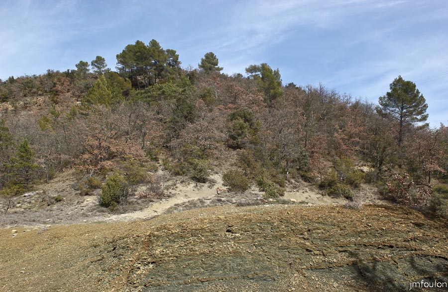 st-donat-haut-02web.jpg - St Donat le Haut - C'est au sommet de cette colline (la Louvière) que se trouve le Couvent des Crottes, autre de nom de l'église de St Donat le Haut