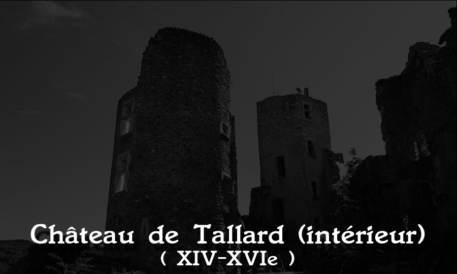 ch-tallard-inter-000-1.jpg - Photos réalisés dans le cadre des Journées du Patrimoine le 14 septembre 2013.