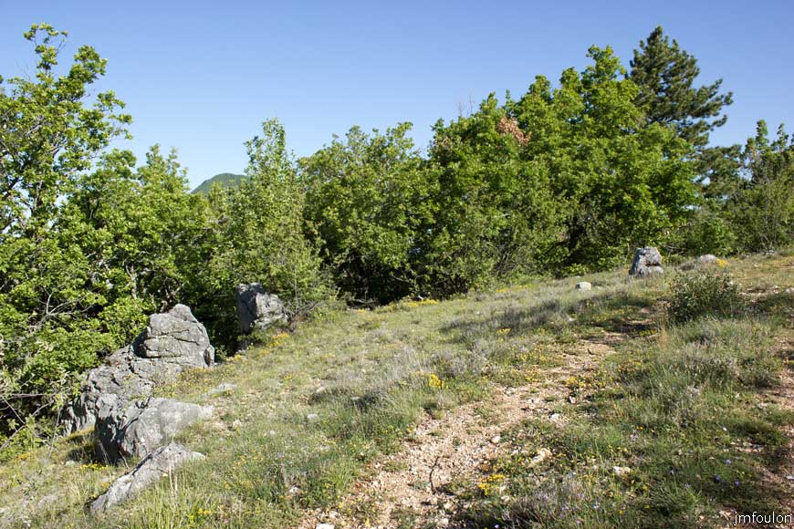 rav-terre-basse-08.jpg - Le sentier (GR 653D)