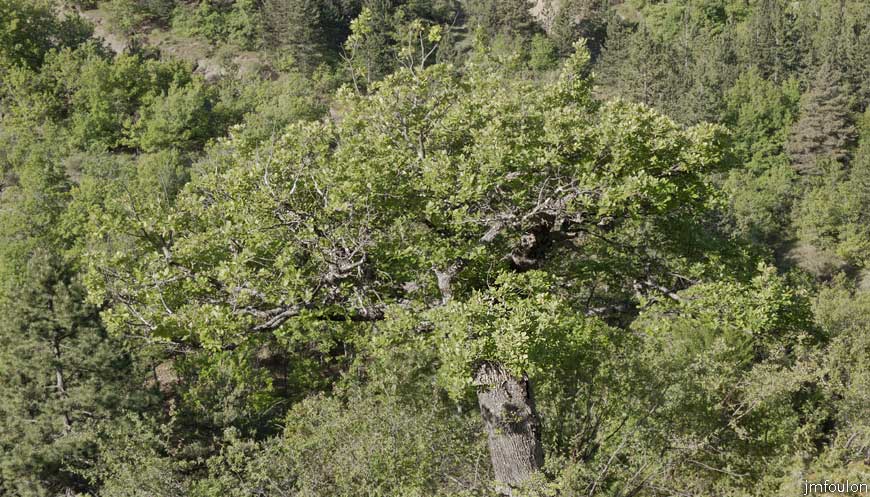 rav-terre-basse-10.jpg - Trapu l'ancien ! ...