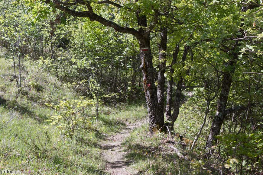 rav-terre-basse-27.jpg - Le GR. Nous quittons la crête pour cheminer en sous-bois un certain temps