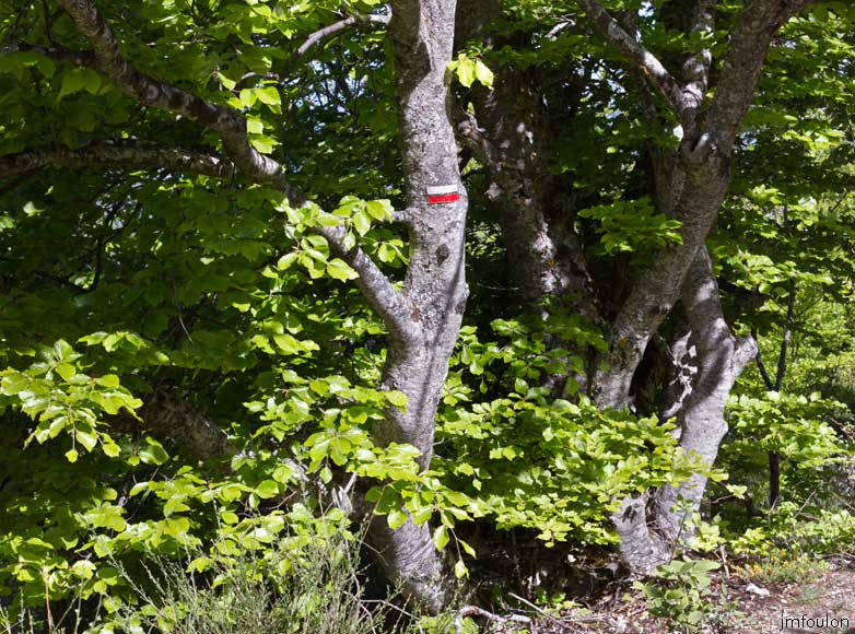 rav-terre-basse-28.jpg - Balisage du GR 653D