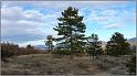 chateauneuf-04web