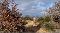 chateauneuf-08web