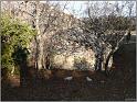 chateauneuf-19web