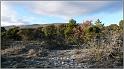 chateauneuf-26web