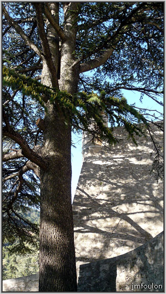 cita-09web.jpg - La rampe d'accès à la porte sud et un magnifique cèdre dont l'ombre anime harmonieusement le rempart est du bastion du Roy