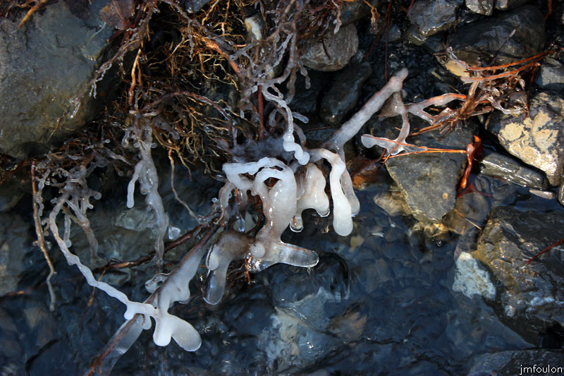 clamensane-ruisseau-2-web.jpg - Clamensane - Gel dans le ravin des Sagnières