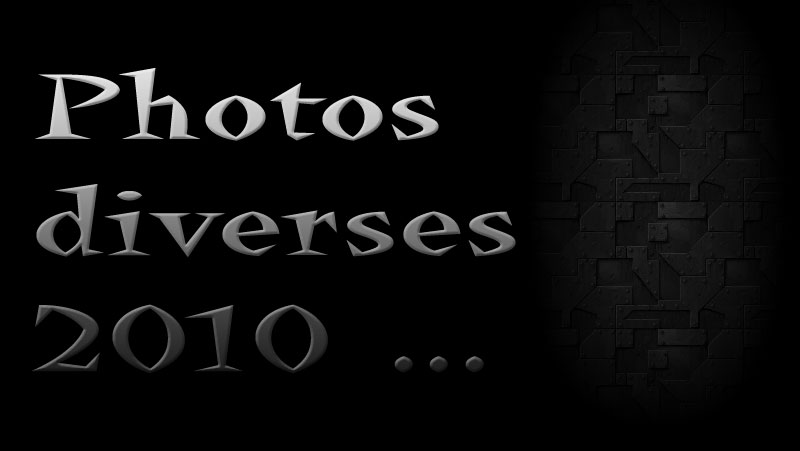 abc-titre.jpg - Chez moi, Mes chats, Ma rue, et quelques autres clichés ...