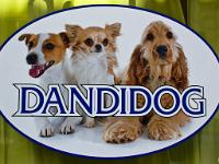 Enseignes et Panneaux  Dandidog - Sisteron - Rue des Cordeliers