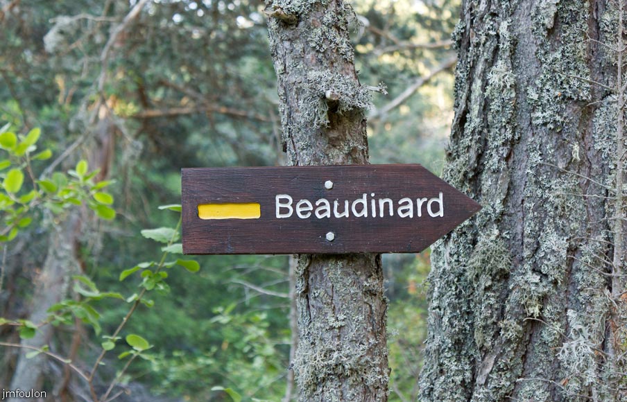 esparron-monges-001web.jpg - D'Esparron-la-Bâtie nous suivons une piste pendant 10 mn environ avant de bifurquer sur un sentier vers Beaudinard