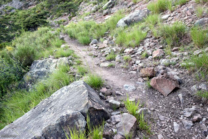 esparron-monges-003web.jpg - Le sentier (vue à contresens de la marche)