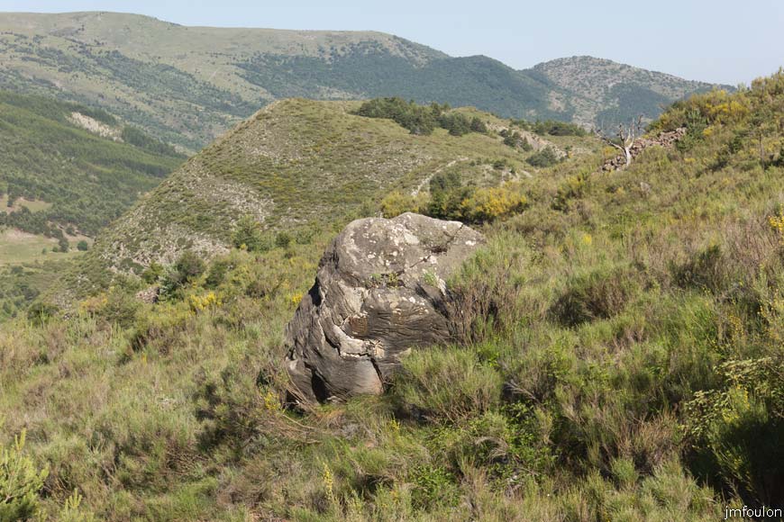 esparron-monges-029web.jpg - Rocher solitaire dans les genêts