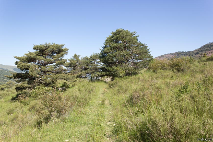 esparron-monges-063web.jpg - Le sentier (vue à contresens de la marche)