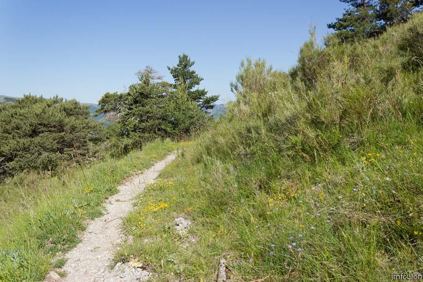 esparron-monges-065web.jpg - Le sentier (vue à contresens de la marche)