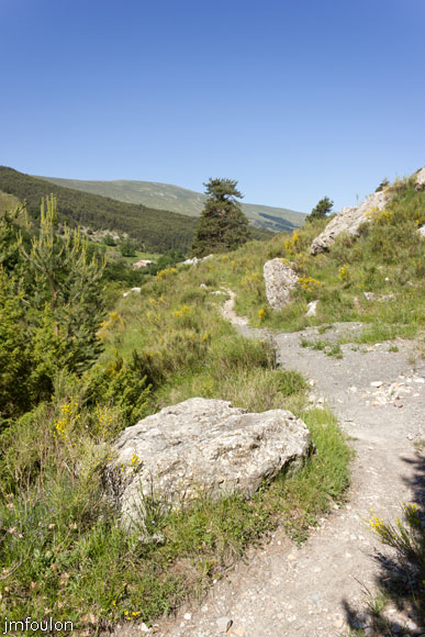 esparron-monges-068web.jpg - Le sentier (vue à contresens de la marche)