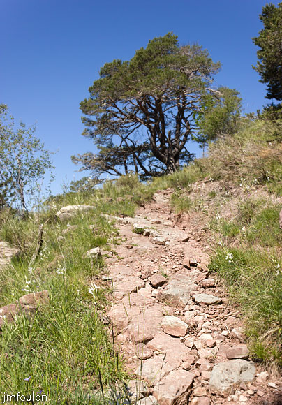 esparron-monges-079web.jpg - On attaque la montée vers le lac