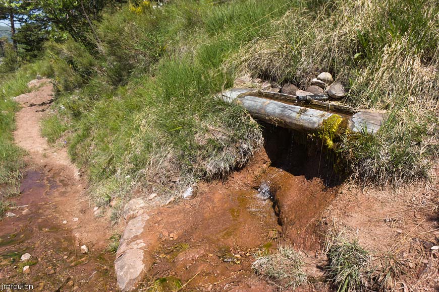 esparron-monges-083web.jpg - Source captée sur le sentier de plus près