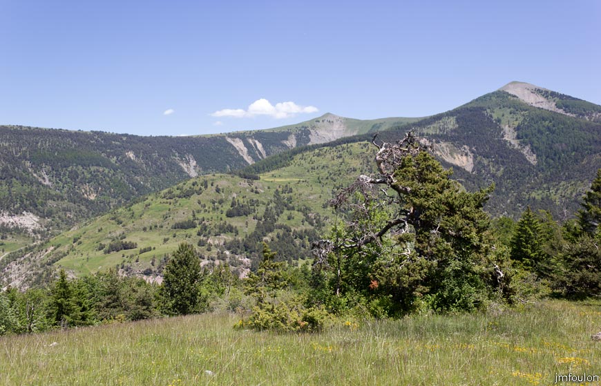 esparron-monges-093web.jpg - Vue vers l'Est - Au loin: l'Oratoire (2072 m). A droite Sommet de Clot de Ginoux ou des Cimettes (2112 m)