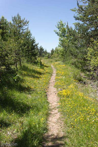 esparron-monges-097web.jpg - GR 6 (autre vue)