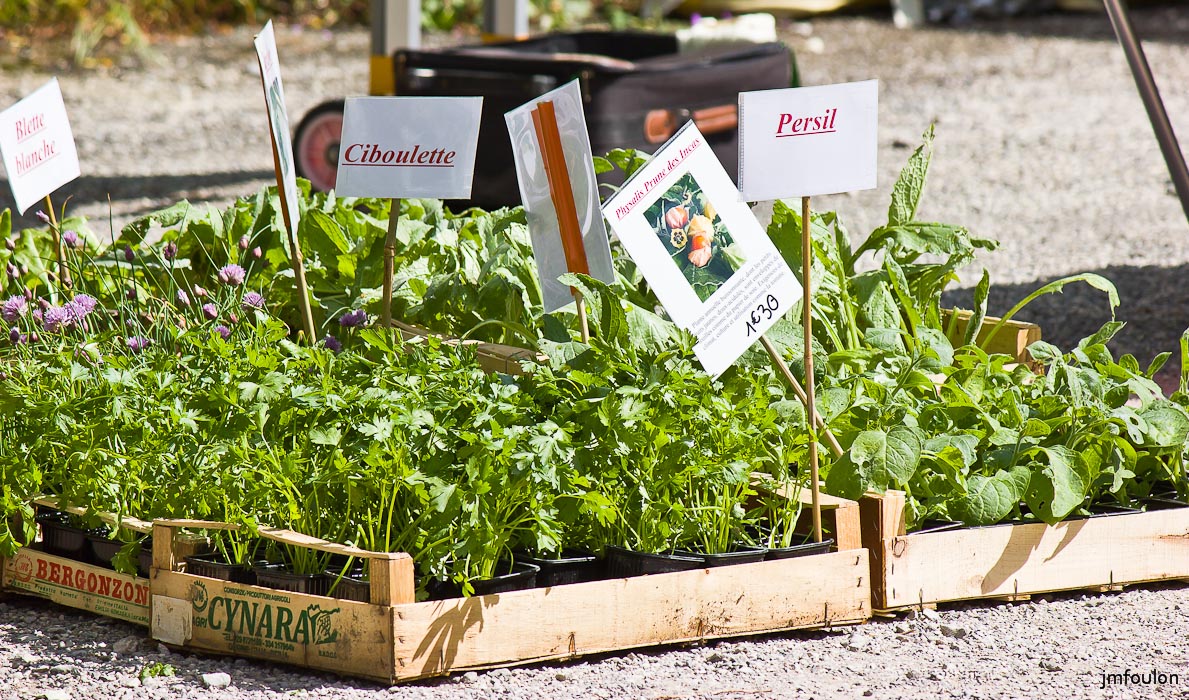 st-vincent-nature-jardin-008-2.jpg - Fête de la Nature et des Jardins - St Vincent sur Jabron - 04/05/14