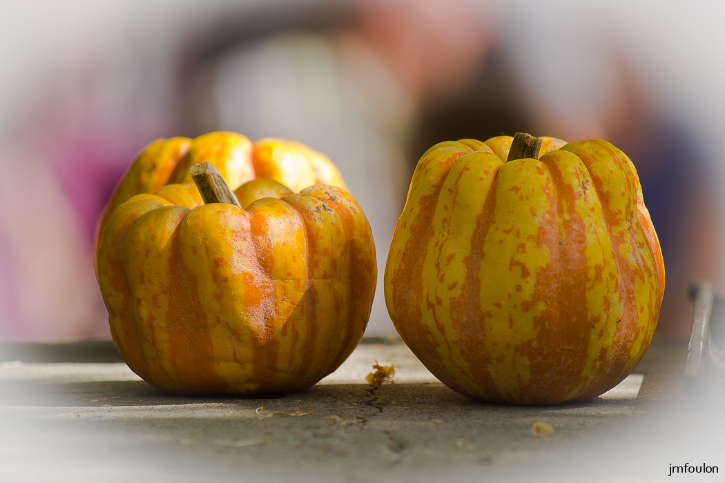 st-vincent-nature-jardin-015-2.jpg - Fête de la Nature et des Jardins - St Vincent sur Jabron - 04/05/14