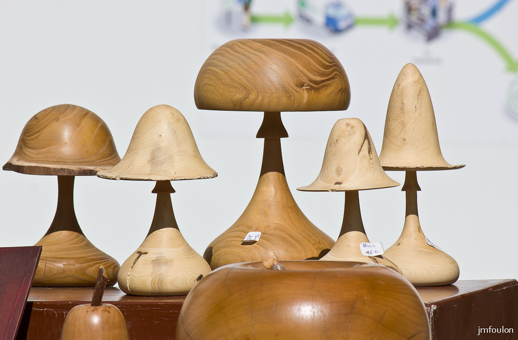 st-vincent-nature-jardin-017-2.jpg - Fête de la Nature et des Jardins - St Vincent sur Jabron - 04/05/14