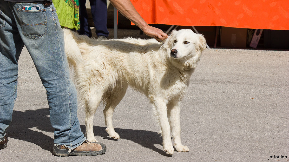st-vincent-nature-jardin-019-2.jpg - Fête de la Nature et des Jardins - St Vincent sur Jabron - 04/05/14
