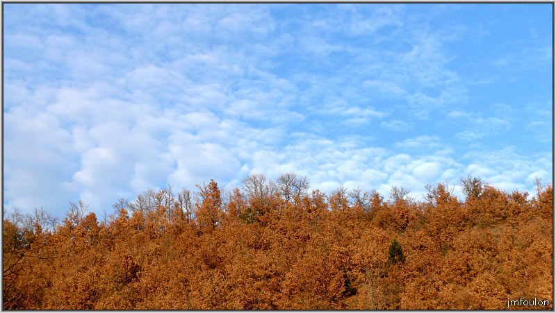 filature-02web.jpg - La pente en plein adret entre la rive du Buech et le bord du plateau de Soleillet est couverte de chênes pubescents