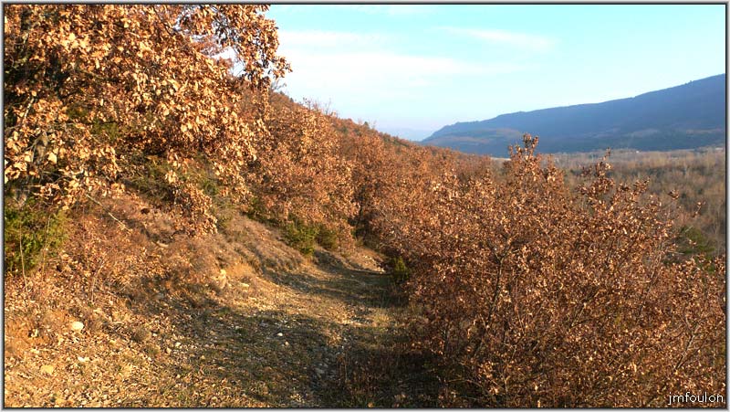 filature-04web.jpg - Continuons notre descente vers le Buech. Au loin, le Molard (920 m)