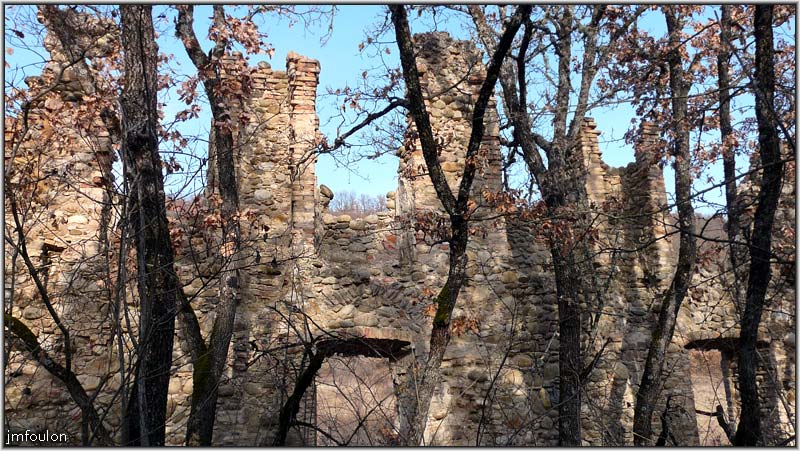 filature-16web.jpg - La végétation à repris ses droits de longue date ici.