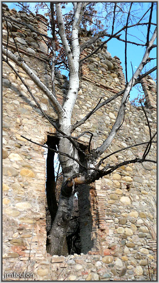 filature-34web.jpg - Ne dirait t'on pas qu'il veut s'échapper ?