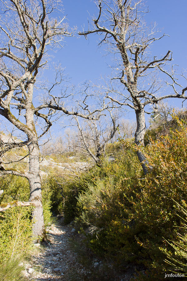 gache-002.jpg - Le sentier au départ de la rando