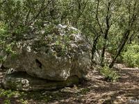 Plateau de Ganagobie  Sur le plateau ce trouvent nombre de roches comme celle-ci
