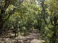 Plateau de Ganagobie  Le sentier qui longe le plateau