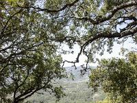 Plateau de Ganagobie  Vue vers l'Ouest depuis le sentier