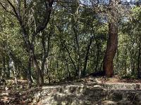 Plateau de Ganagobie  Carrières de meules - Pour plus de détails voir les explications page Ganagobie
