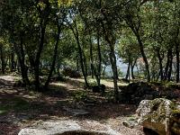 Plateau de Ganagobie  Carrières de meules - Pour plus de détails,voir les explications page Ganagobie