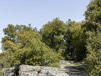 Plateau de Ganagobie  Vue sur le sentier