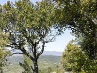 Plateau de Ganagobie  Autre vue sur le sentier