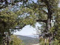 Plateau de Ganagobie  Autre vue sur le sentier